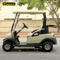 Luxury 2 seater electric golf cart Trojan battery club buggy car golf cart